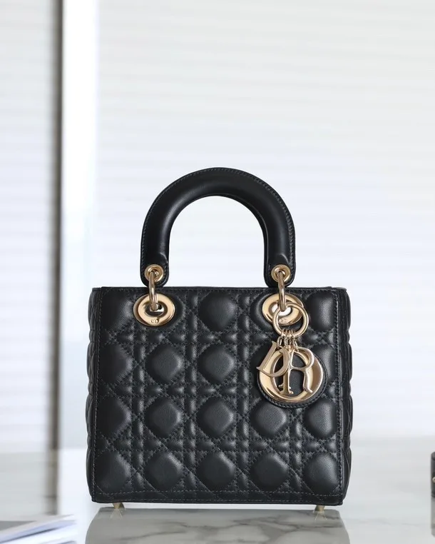 디올 Lady Dior  MY ABCDIOR 20 x 16.5 x 8 cm
